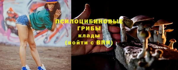 дмт Приозерск