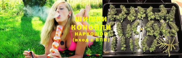 стаф Богородицк
