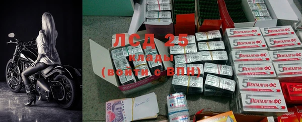 стаф Богородицк