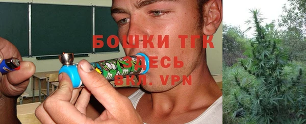 стаф Богородицк