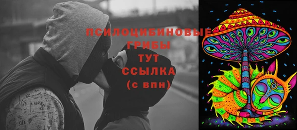 стаф Богородицк