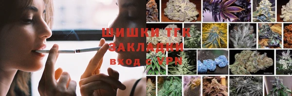 стаф Богородицк