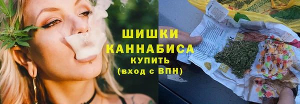 стаф Богородицк