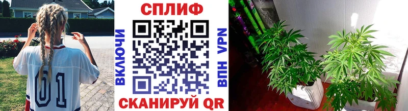 Бошки Шишки SATIVA & INDICA  нарко площадка формула  Можайск 